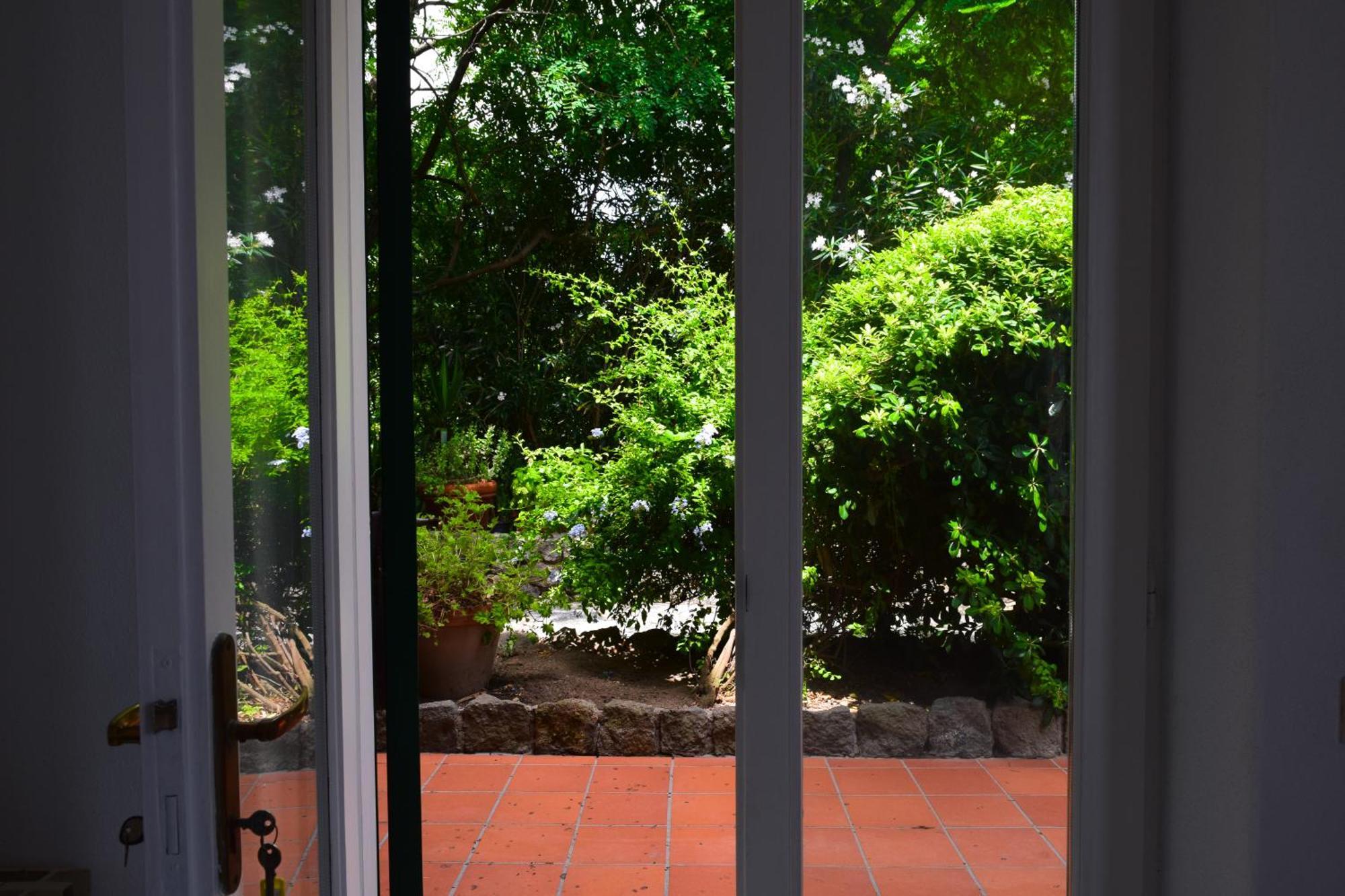 Il Giardino Selvatico Di Succellario - Apartments Barano d'Ischia Exterior photo
